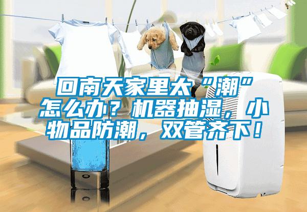 回南天家里太“潮”怎么辦？機器抽濕，小物品防潮，雙管齊下！