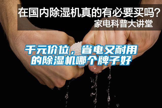 千元價位,省電又耐用的除濕機哪個牌子好