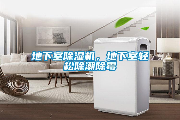 地下室除濕機，地下室輕松除潮除霉