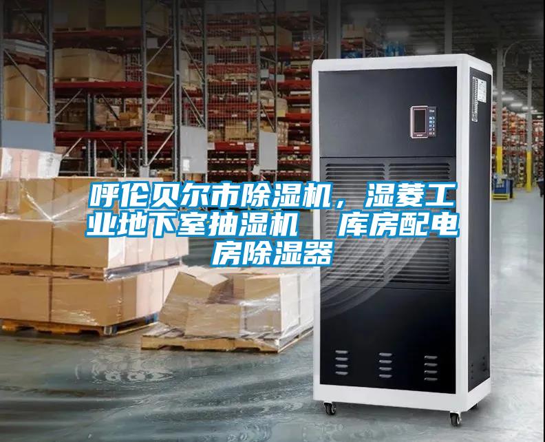 呼倫貝爾市除濕機，濕菱工業(yè)地下室抽濕機  庫房配電房除濕器