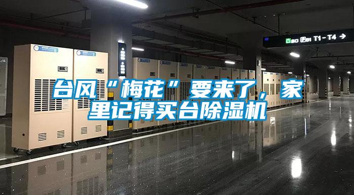 臺風“梅花”要來了,家里記得買臺除濕機