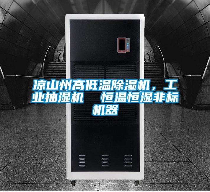 涼山州高低溫除濕機，工業抽濕機  恒溫恒濕非標機器