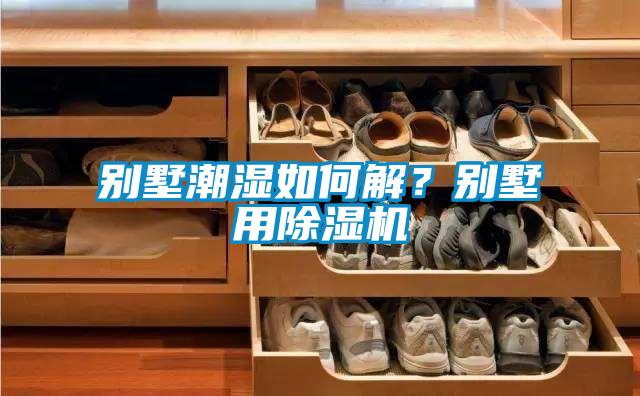別墅潮濕如何解？別墅用除濕機