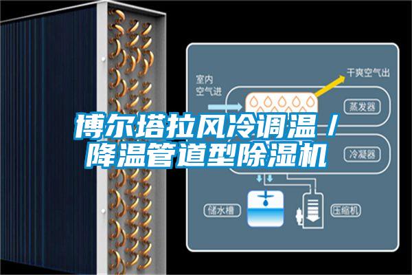 博爾塔拉風(fēng)冷調(diào)溫/降溫管道型除濕機