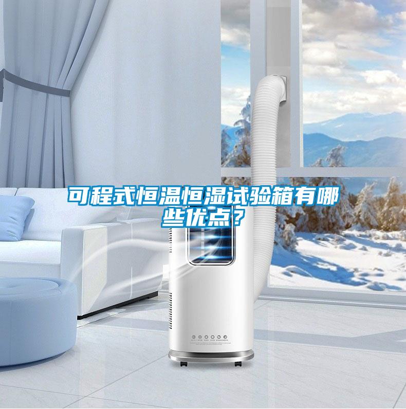可程式恒溫恒濕試驗箱有哪些優(yōu)點？