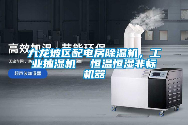 九龍坡區(qū)配電房除濕機,工業(yè)抽濕機 恒溫恒濕非標(biāo)機器