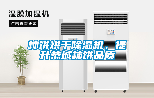 柿餅烘干除濕機，提升恭城柿餅品質(zhì)