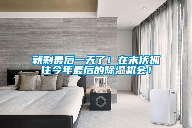 就剩最后一天了！在末伏抓住今年最后的除濕機會！