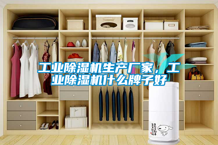 工業除濕機生產廠家，工業除濕機什么牌子好