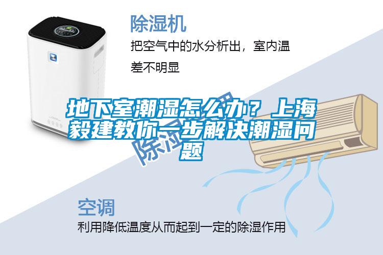 地下室潮濕怎么辦?上海毅建教你一步解決潮濕問題