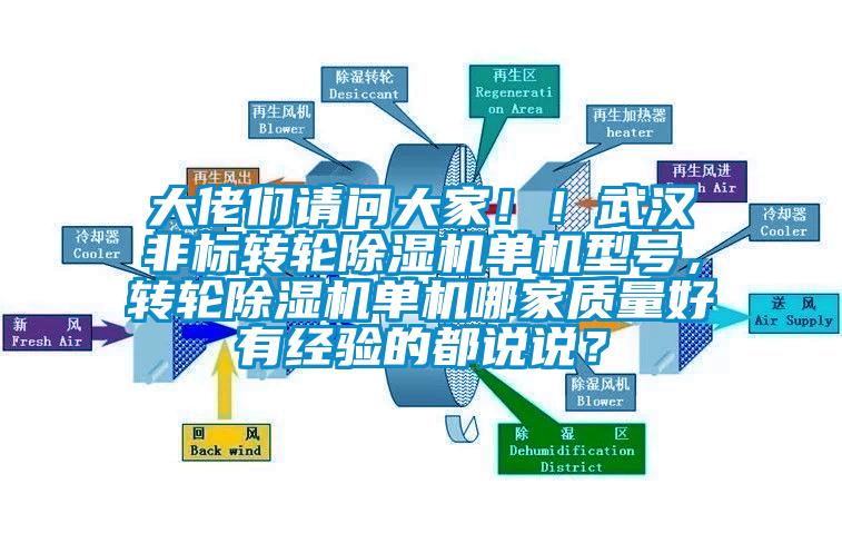 大佬們請(qǐng)問(wèn)大家??！武漢非標(biāo)轉(zhuǎn)輪除濕機(jī)單機(jī)型號(hào)，轉(zhuǎn)輪除濕機(jī)單機(jī)哪家質(zhì)量好有經(jīng)驗(yàn)的都說(shuō)說(shuō)？