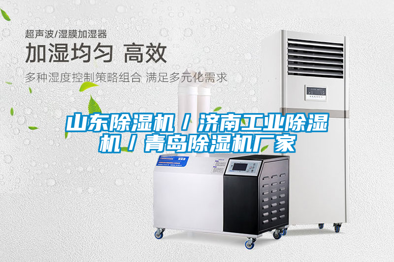 山東除濕機/濟南工業除濕機/青島除濕機廠家