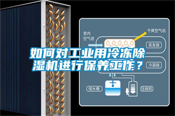 如何對工業用冷凍除濕機進行保養工作?