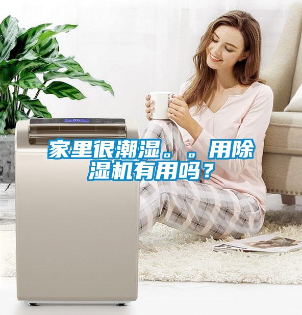 家里很潮濕。。用除濕機有用嗎?