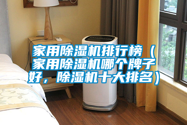家用除濕機(jī)排行榜（家用除濕機(jī)哪個牌子好，除濕機(jī)十大排名）