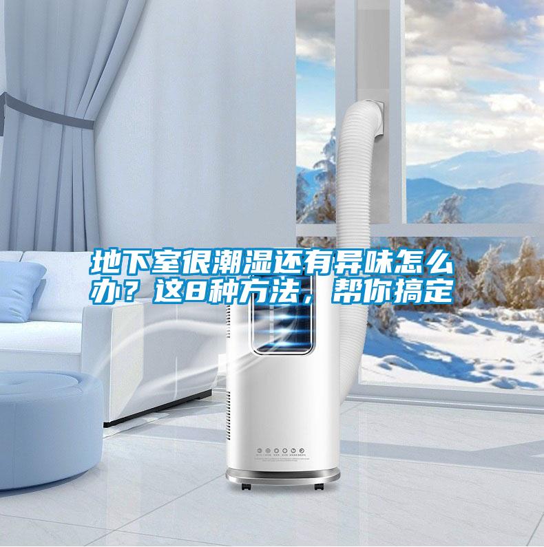地下室很潮濕還有異味怎么辦？這8種方法，幫你搞定