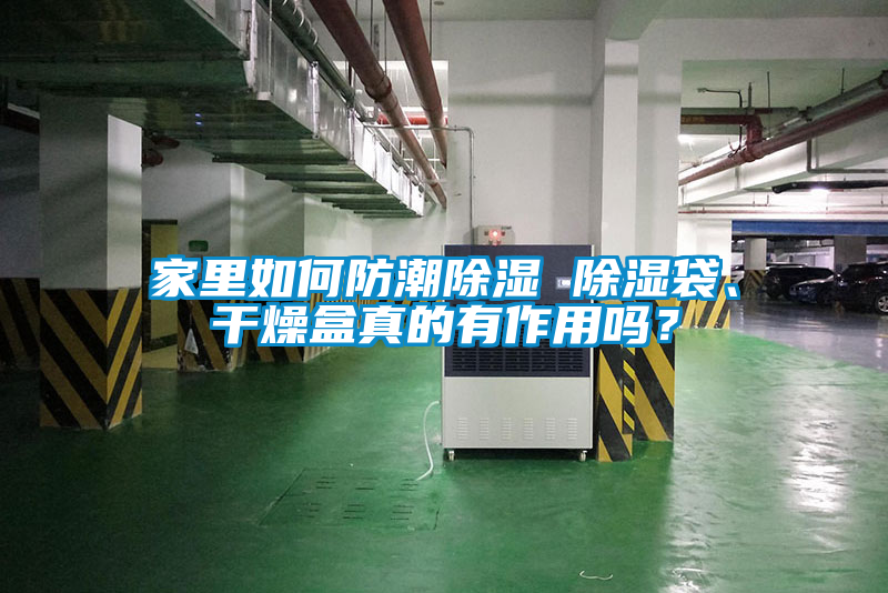 家里如何防潮除濕 除濕袋、干燥盒真的有作用嗎？