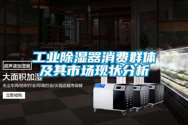 工業(yè)除濕器消費群體及其市場現(xiàn)狀分析
