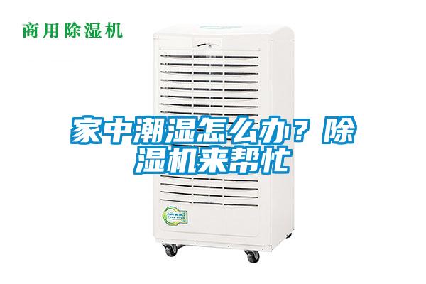 家中潮濕怎么辦？除濕機來幫忙
