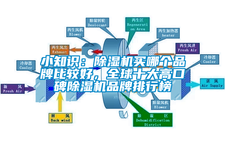小知識：除濕機買哪個品牌比較好，全球十大高口碑除濕機品牌排行榜