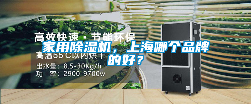家用除濕機，上海哪個品牌的好？