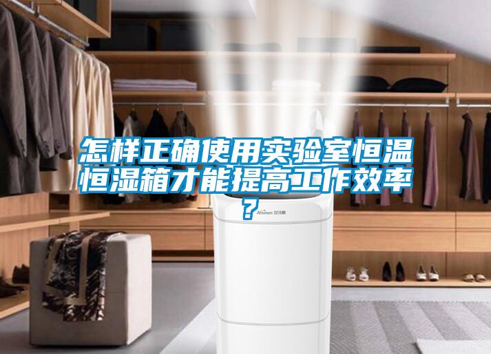 怎樣正確使用實驗室恒溫恒濕箱才能提高工作效率?
