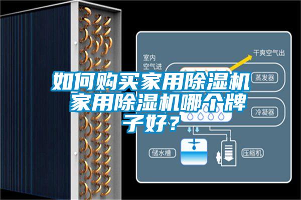 如何購買家用除濕機 家用除濕機哪個牌子好？