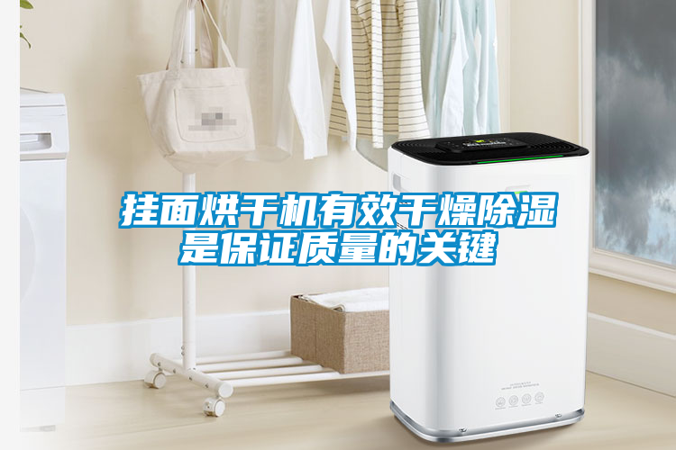 掛面烘干機有效干燥除濕是保證質量的關鍵