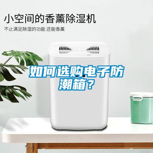 如何選購電子防潮箱？