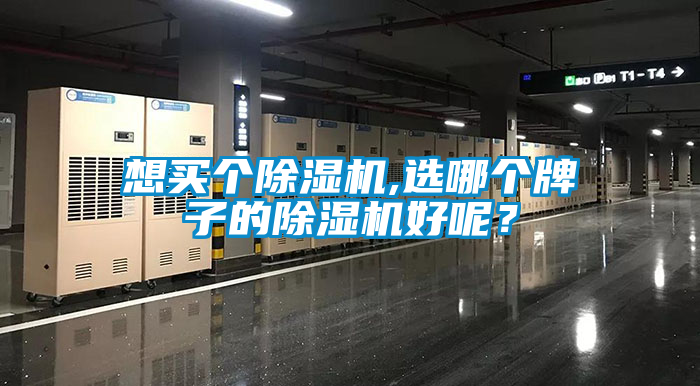 想買個除濕機,選哪個牌子的除濕機好呢?