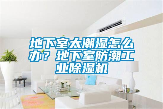 地下室太潮濕怎么辦？地下室防潮工業除濕機