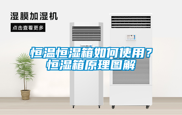 恒溫恒濕箱如何使用?恒濕箱原理圖解