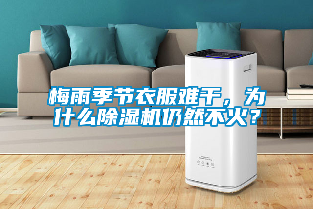 梅雨季節衣服難干,為什么除濕機仍然不火?