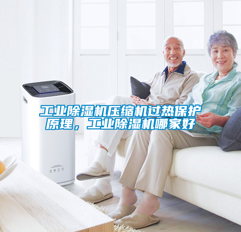 工業(yè)除濕機(jī)壓縮機(jī)過熱保護(hù)原理,工業(yè)除濕機(jī)哪家好