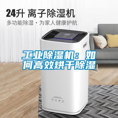工業除濕機：如何高效烘干除濕