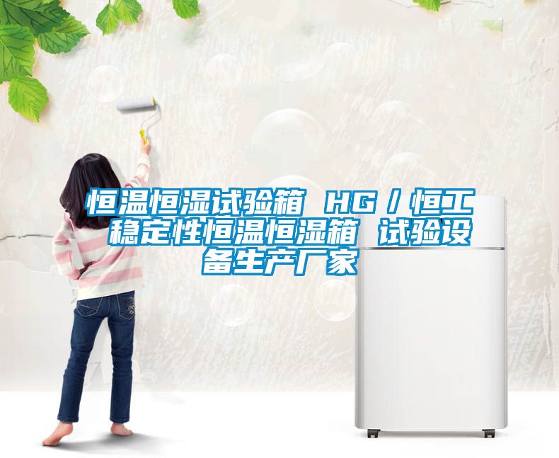 恒溫恒濕試驗箱 HG/恒工 穩定性恒溫恒濕箱 試驗設備生產廠家