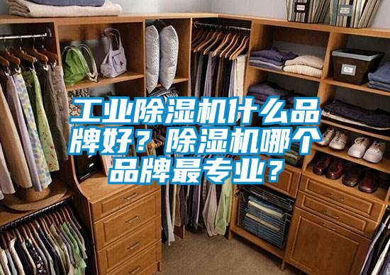 工業(yè)除濕機(jī)什么品牌好？除濕機(jī)哪個(gè)品牌最專業(yè)？
