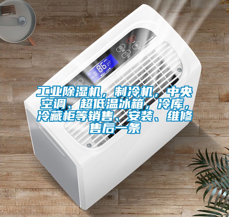 工業除濕機,制冷機,中央空調、超低溫冰箱,冷庫,冷藏柜等銷售、安裝、維修售后一條