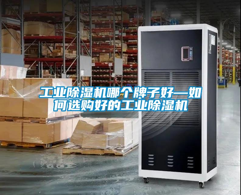 工業除濕機哪個牌子好—如何選購好的工業除濕機