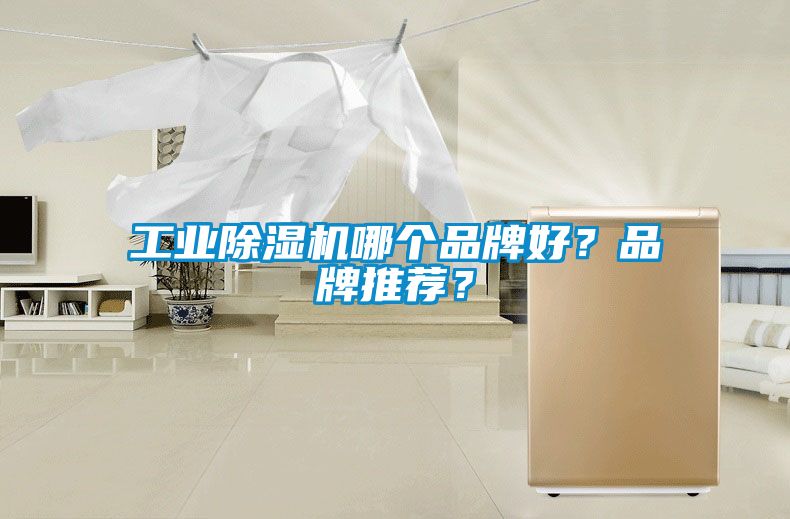 工業除濕機哪個品牌好？品牌推薦？