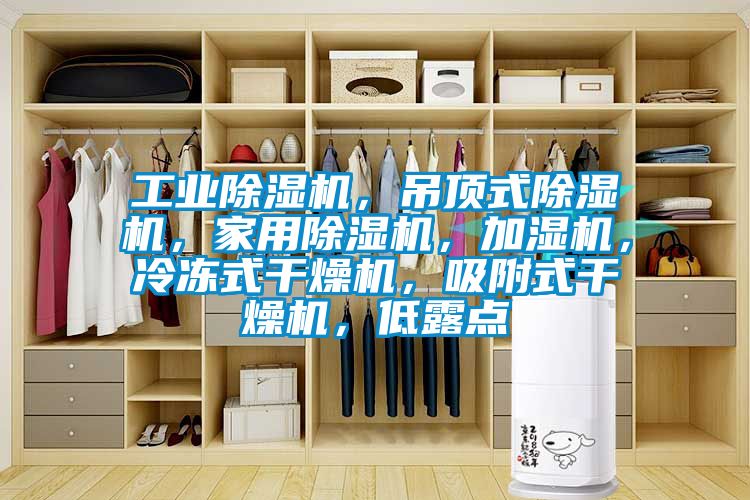 工業(yè)除濕機(jī)，吊頂式除濕機(jī)，家用除濕機(jī)，加濕機(jī)，冷凍式干燥機(jī)，吸附式干燥機(jī)，低露點(diǎn)