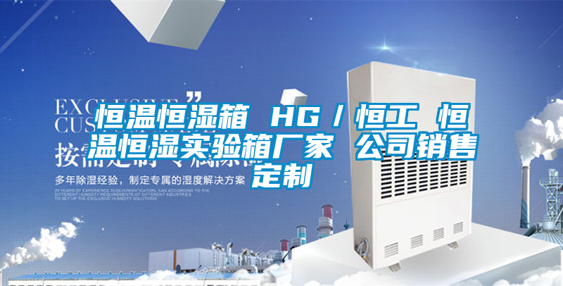 恒溫恒濕箱 HG/恒工 恒溫恒濕實驗箱廠家 公司銷售定制