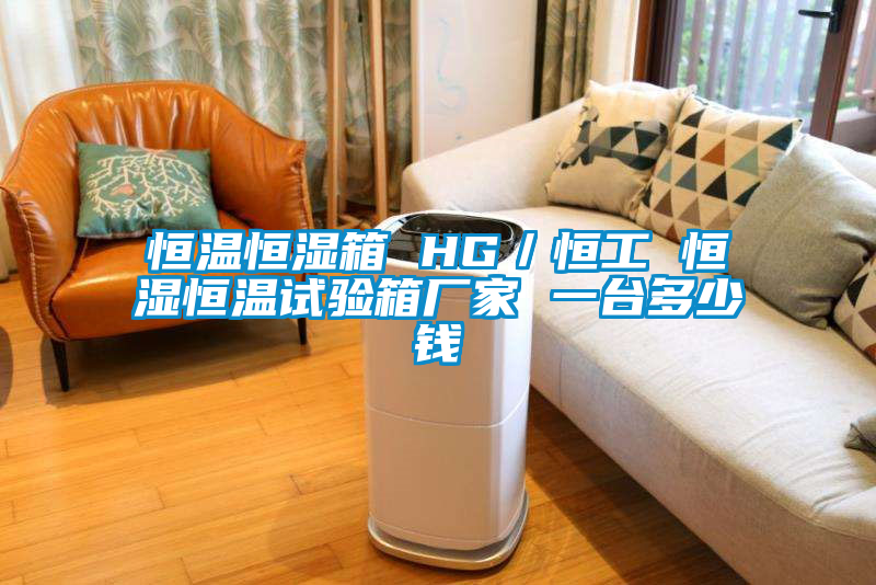 恒溫恒濕箱 HG/恒工 恒濕恒溫試驗箱廠家 一臺多少錢