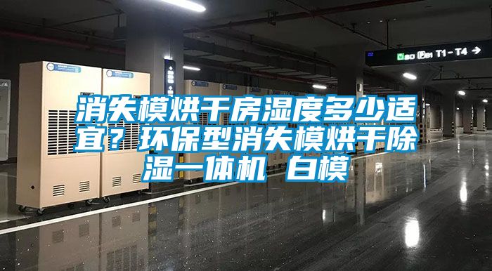 消失模烘干房濕度多少適宜？環(huán)保型消失模烘干除濕一體機(jī) 白模