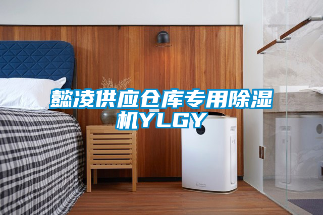 懿凌供應(yīng)倉(cāng)庫專用除濕機(jī)YLGY