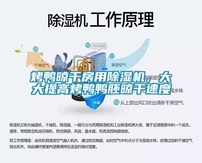 烤鴨晾干房用除濕機，大大提高烤鴨鴨胚晾干速度