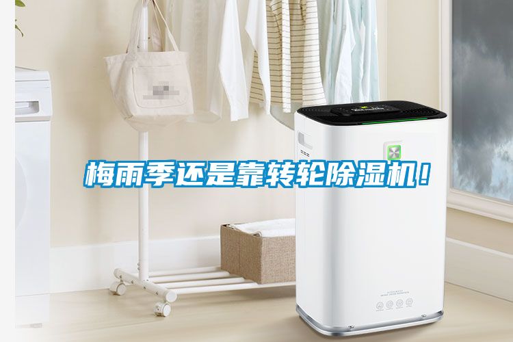 梅雨季還是靠轉輪除濕機！