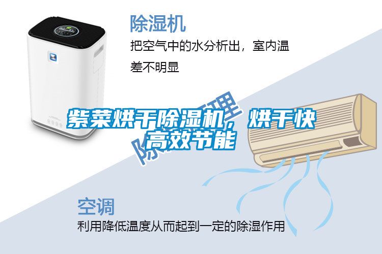 紫菜烘干除濕機,烘干快高效節(jié)能