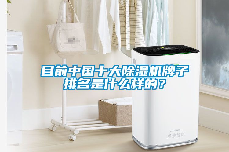 目前中國十大除濕機牌子排名是什么樣的？