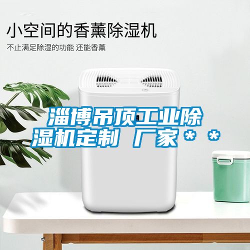 淄博吊頂工業除濕機定制 廠家**
